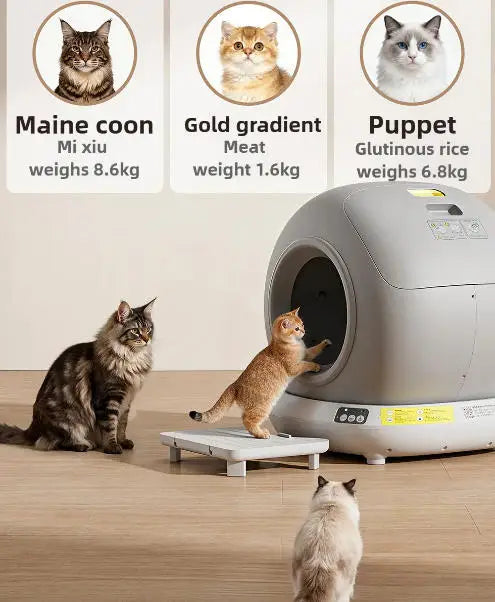 78L Self Cleaning Cat Litter Box Fully Enclosed Automatic Cat Sand Box App Control Extra Large Space Smart Pet Toilet Tray